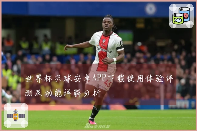 世界杯买球安卓APP下载使用体验评测及功能详解分析
