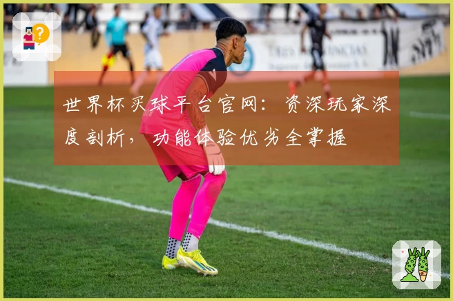世界杯买球平台官网：资深玩家深度剖析，功能体验优劣全掌握