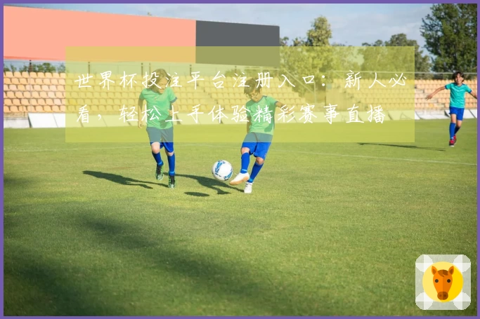 世界杯投注平台注册入口：新人必看，轻松上手体验精彩赛事直播
